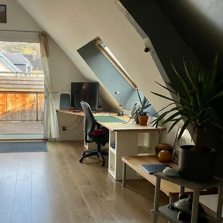 公寓 2 Chambres, Terrasse , Proche Centre , Calme 吕兹-圣索沃尔