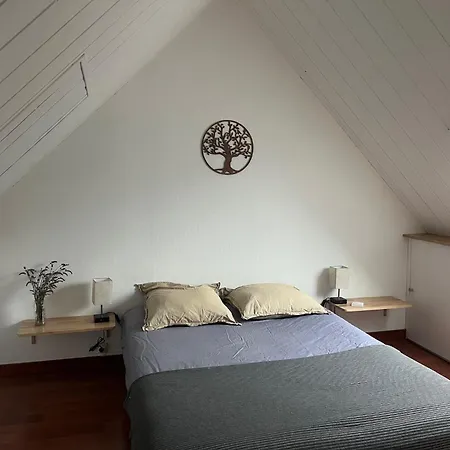 2 Chambres, Terrasse , Proche Centre , Calme * 吕兹-圣索沃尔